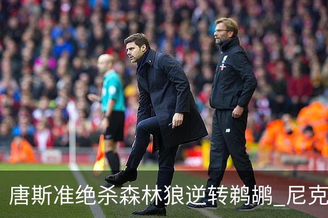 唐斯准绝杀森林狼逆转鹈鹕 尼克斯送黄蜂4连败